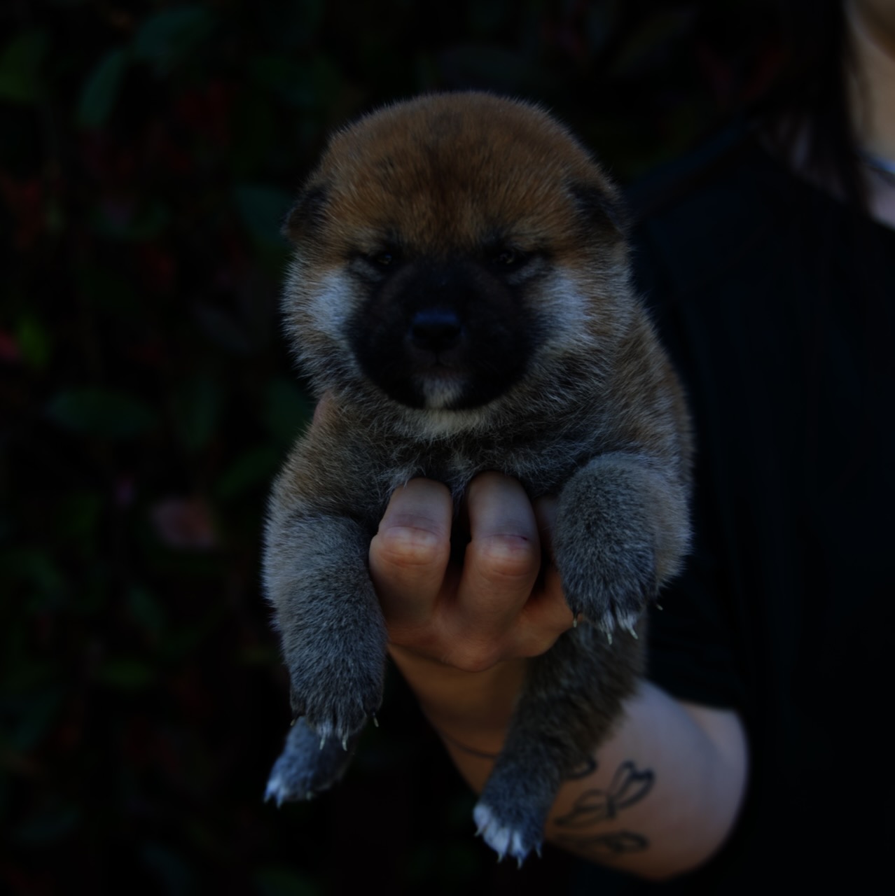 9N7A7889
